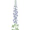 Small Delphinium Wall Stencil | 1595 by Designer Stencils | Floral Stencils | Reusable Art Craft Stencils for Painting on Walls, Canvas, Wood | Reusable Plastic Paint Stencil for Home Makeover | Easy to Use & Clean Art Stencil